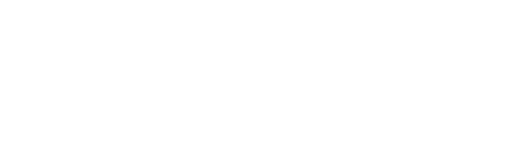 Platinum Realty Puerto Vallarta realestate agency