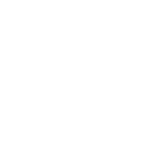 Platinum Realty Mexico